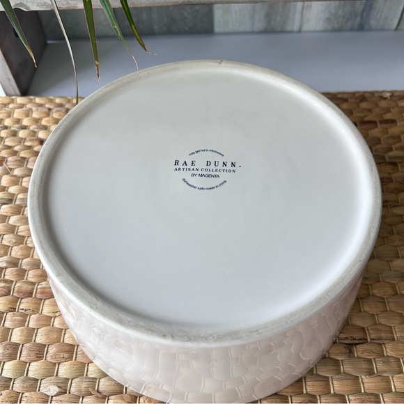 🌴Rae Dunn Ceramic Dog Bowl - White and Light Blue - Picture 7 of 8